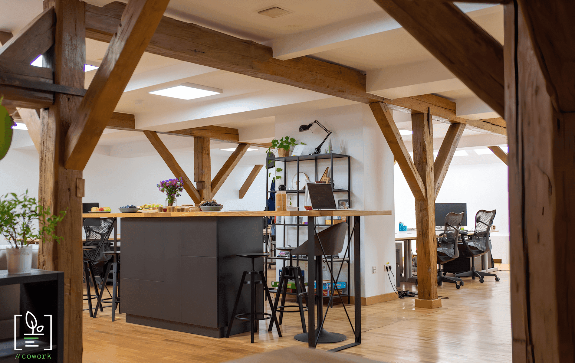 DevPlant coworking space with desks and collaborative work areas
